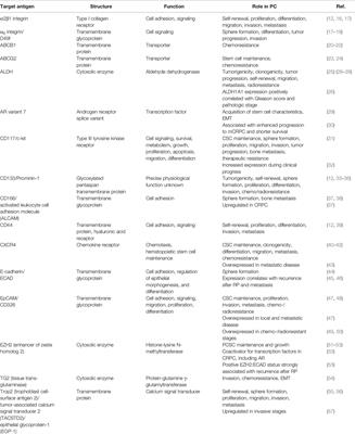 Prostate Cancer Stem Cells: Clinical Aspects and Targeted Therapies